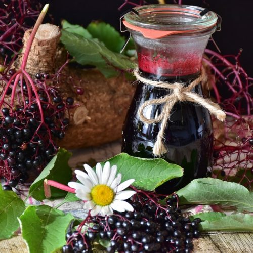 Elderberry